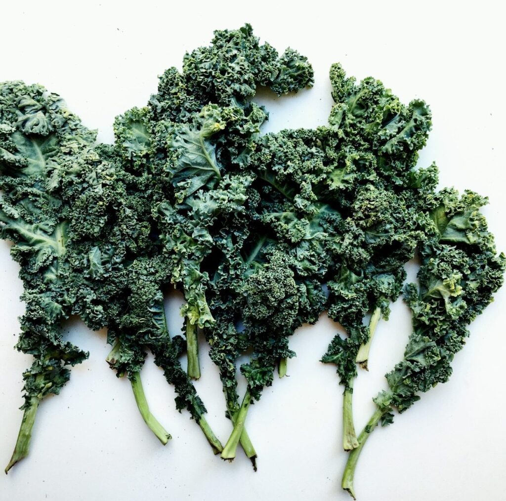 Image of fresh kale laid out for how to make kale chips